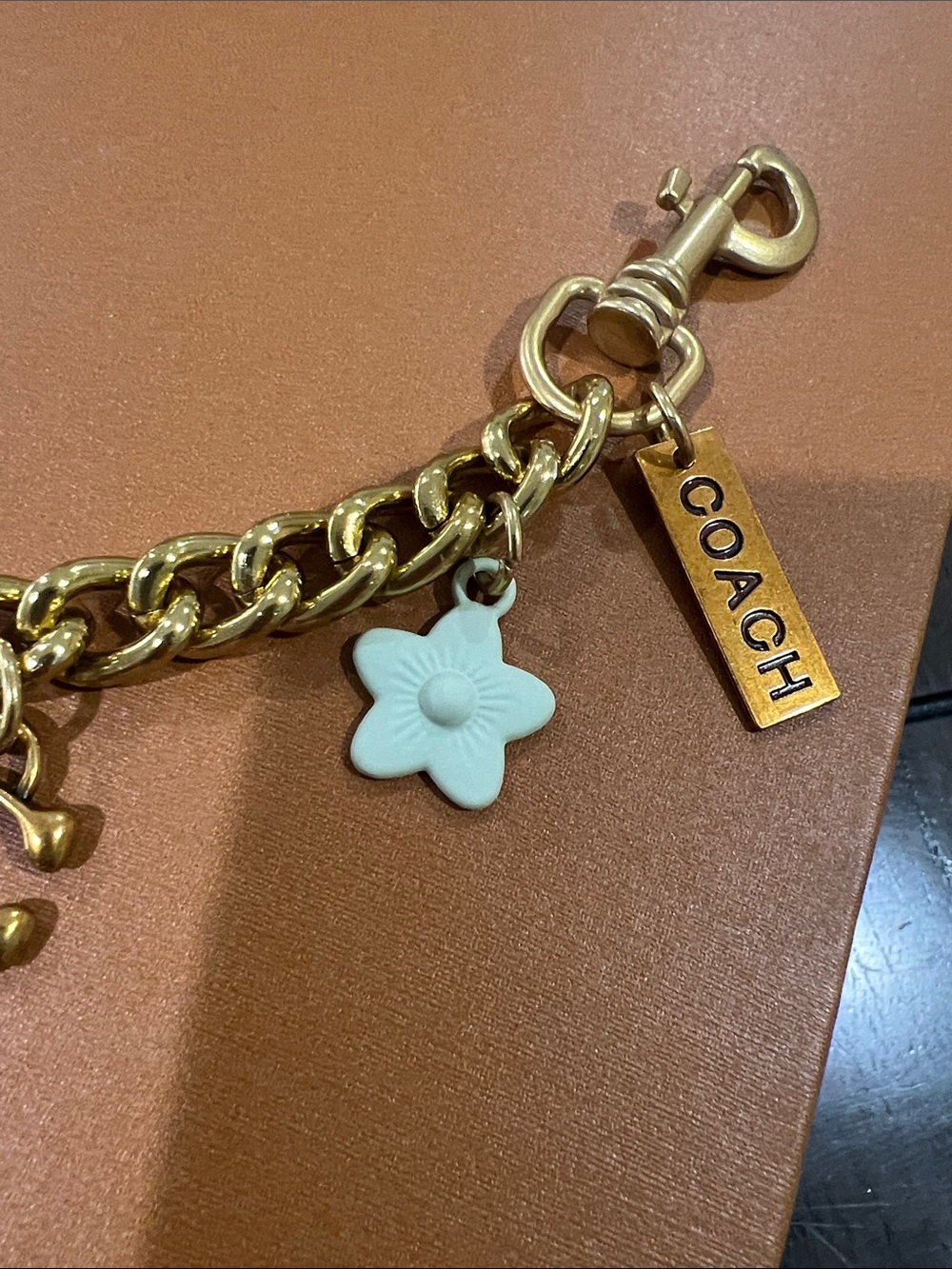 Coach Gold-Tone Charm Bracelet with Red Heart, Pastel Rainbow & Mint Flower - Picture 2 of 3